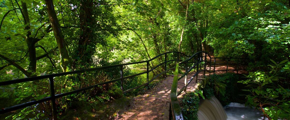 Lymm showing a river or creek, a park and a bridge