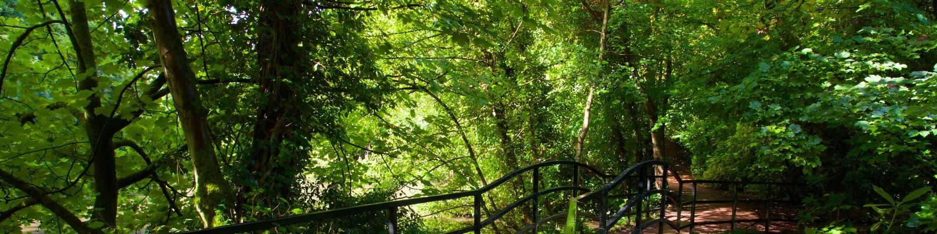 Lymm welches beinhaltet BrĂŒcke, Fluss oder Bach und Garten