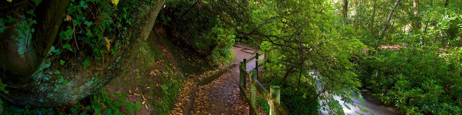 Lymm mostrando un parque y un río o arroyo