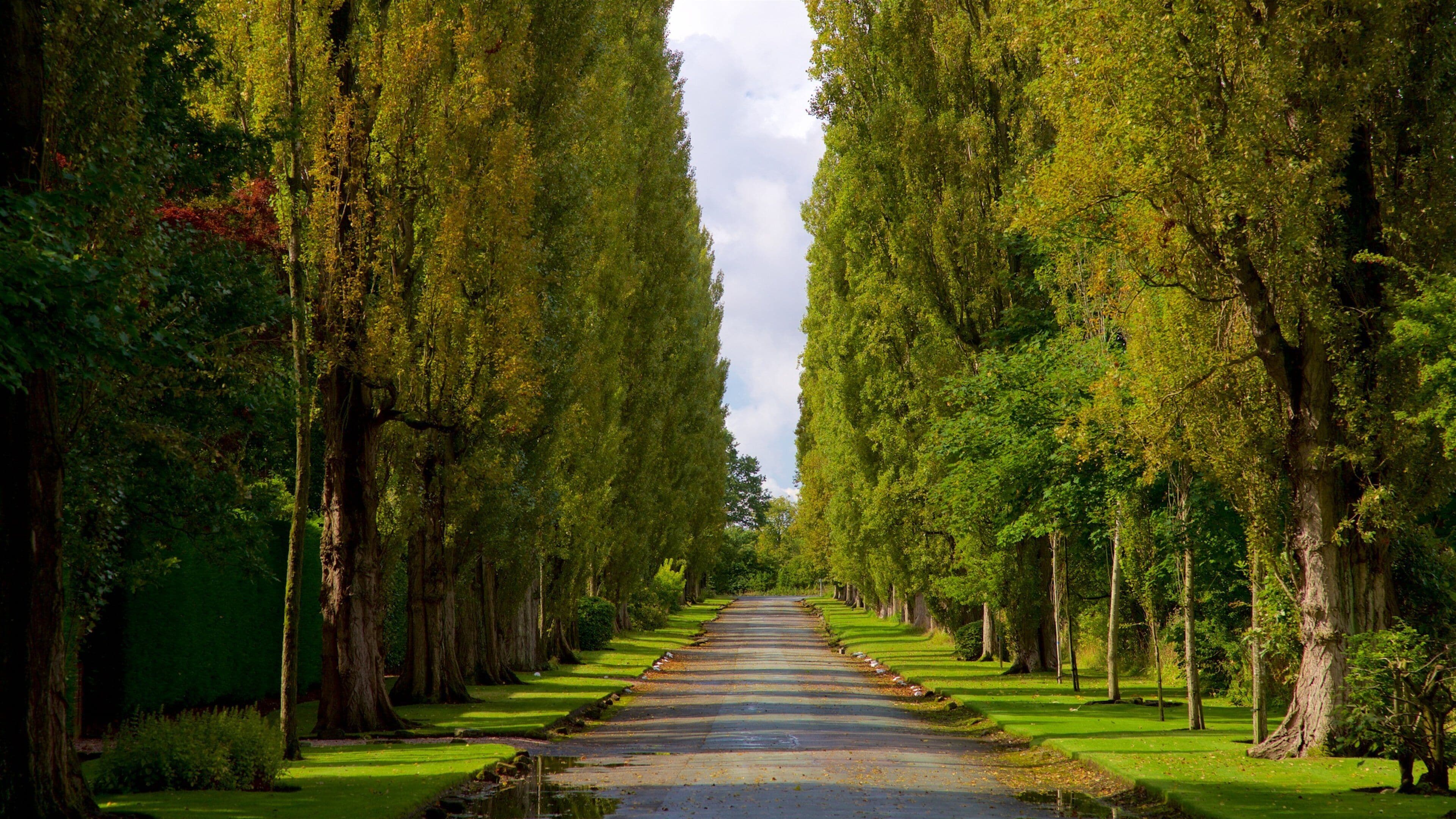 Lymm which includes a park