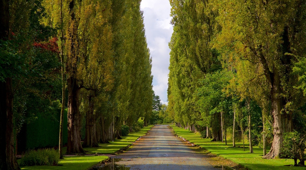 Lymm which includes a park