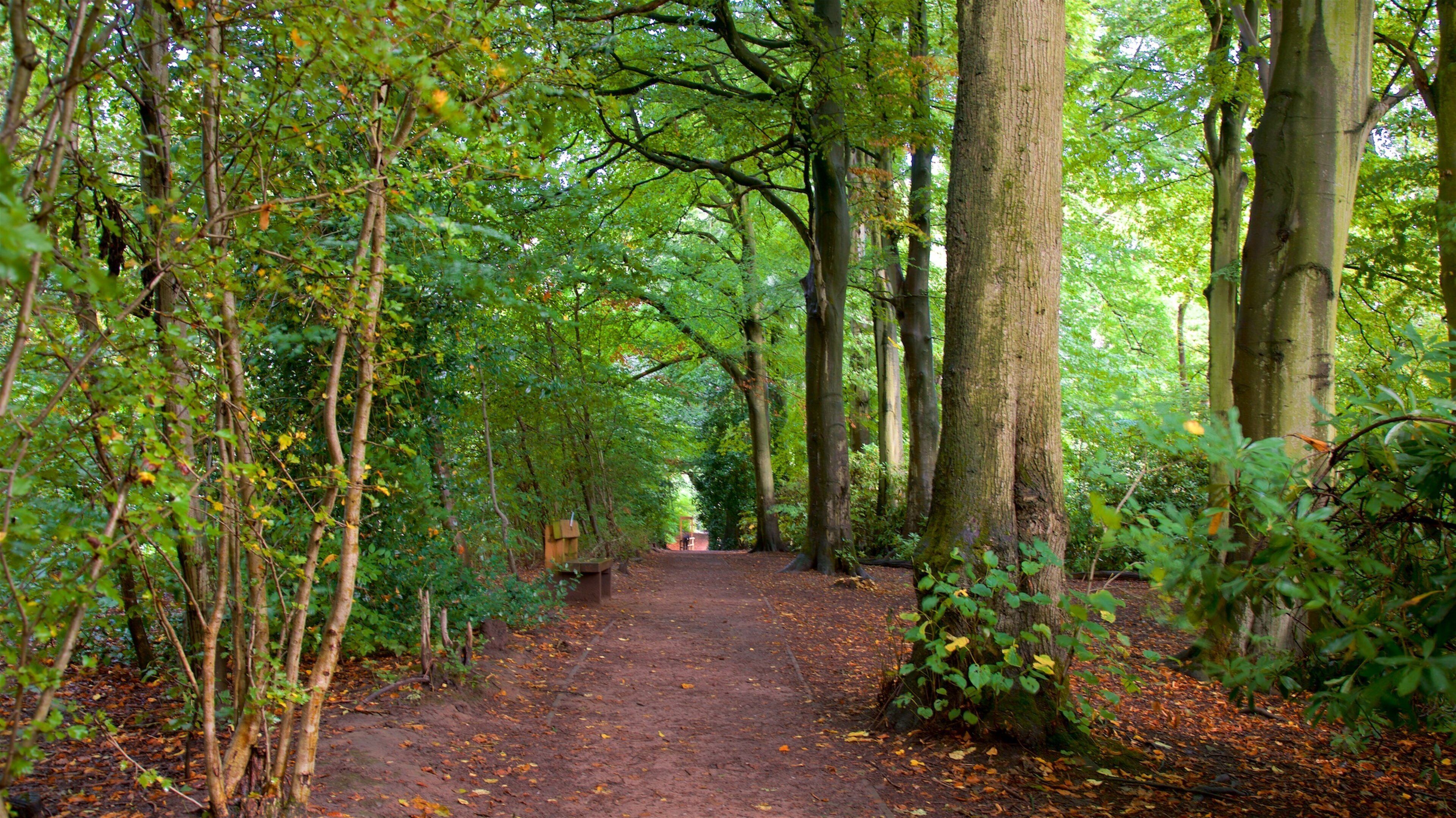 Lymm Dam showing a park