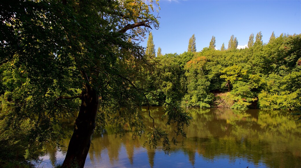 Lymm Dam featuring a pond