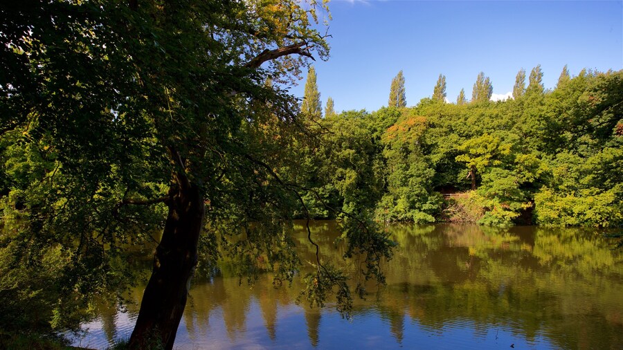 Lymm Dam featuring a pond