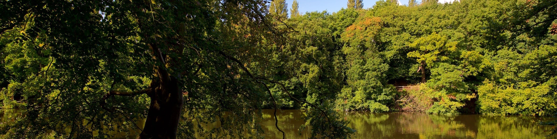 Lymm Dam featuring a pond