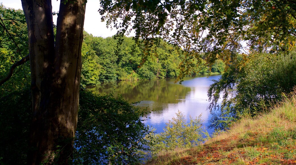 Lymm som omfatter en flod eller et vandløb