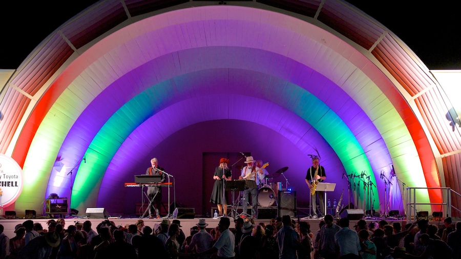 Napier featuring music and performance art