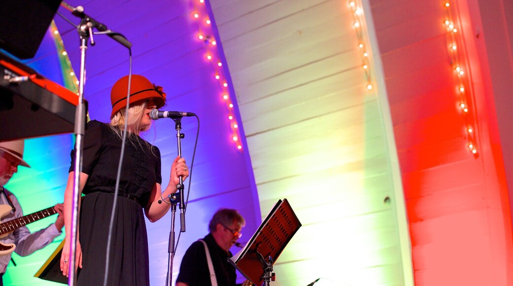 內皮爾 其中包括 音樂 以及 一個女性