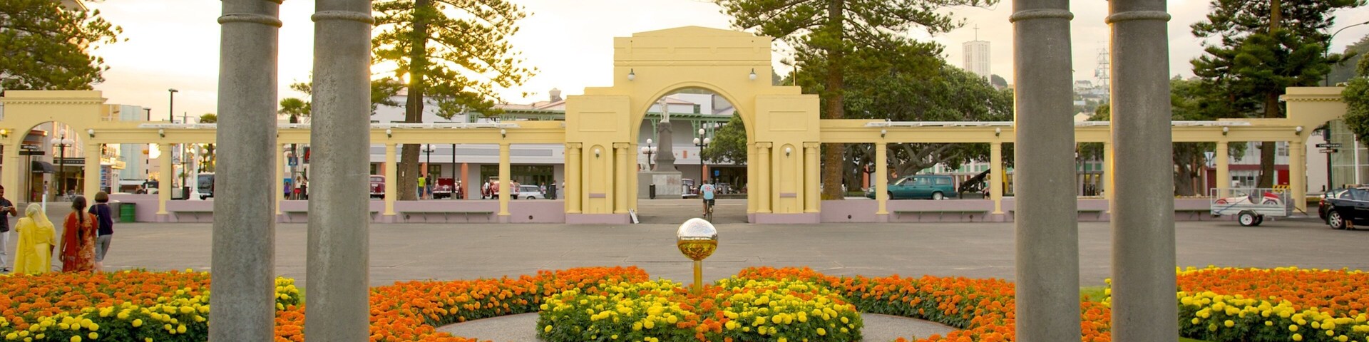 Napier ofreciendo un parque