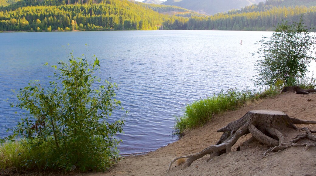 Lake Morton which includes forests and a lake or waterhole