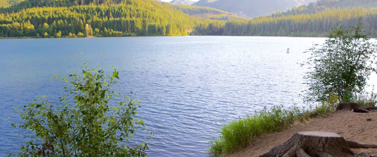 Lake Morton which includes forests and a lake or waterhole