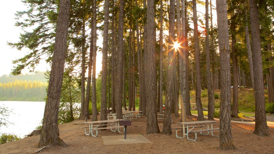 Central Washington showing forest scenes