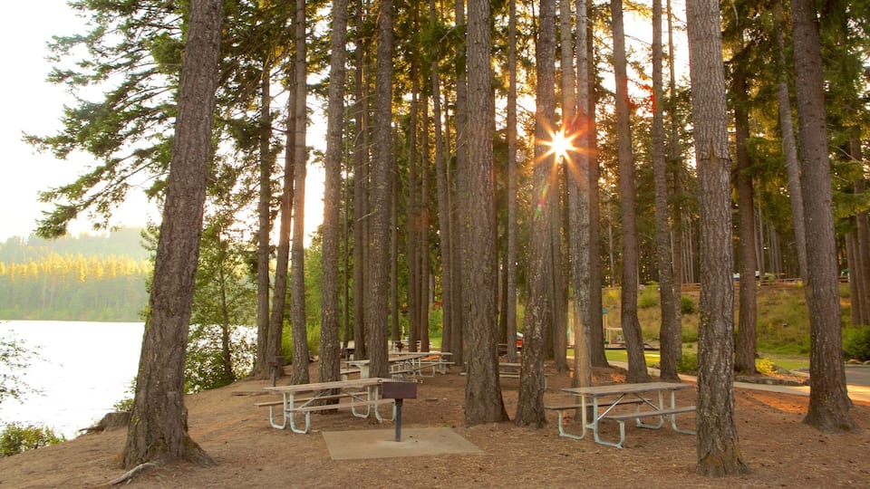 A lakeside picnic area with benches and picnic tables surrounded by tall trees.