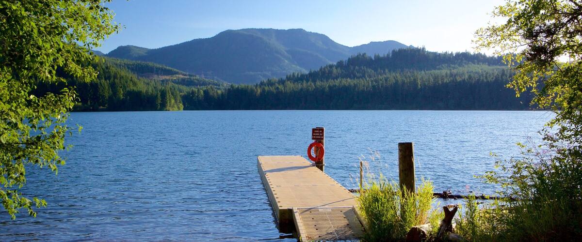 A wooden dock extending into a calm lake, surrounded by lush greenery and mountains in the background.