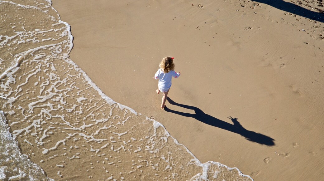 Brighton Beach featuring a sandy beach and general coastal views as well as an individual child