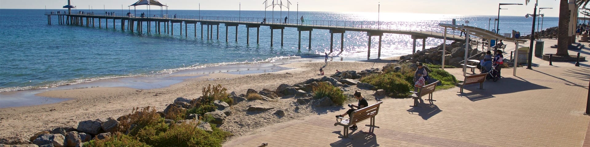 Brighton Beach featuring a beach and general coastal views