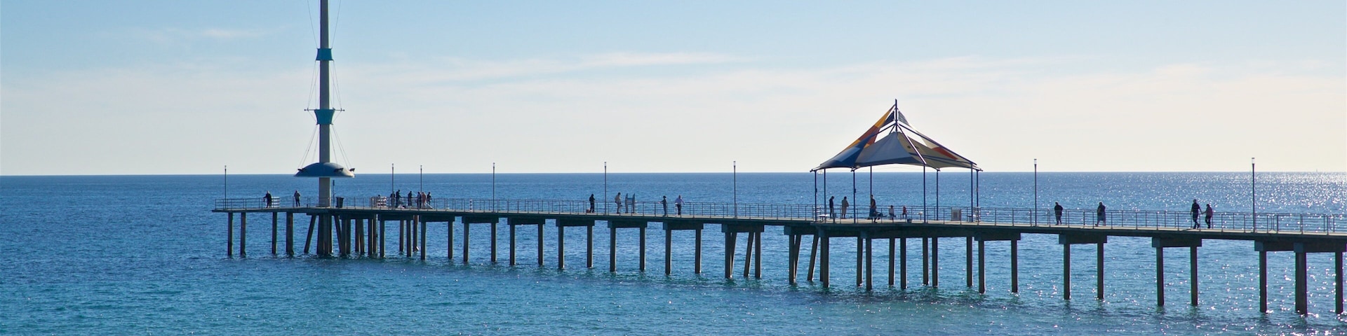 Brighton Beach showing general coastal views and a sandy beach