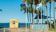 A coastal scene with a large concrete sculpture, palm trees, and flags including the Australian flag.