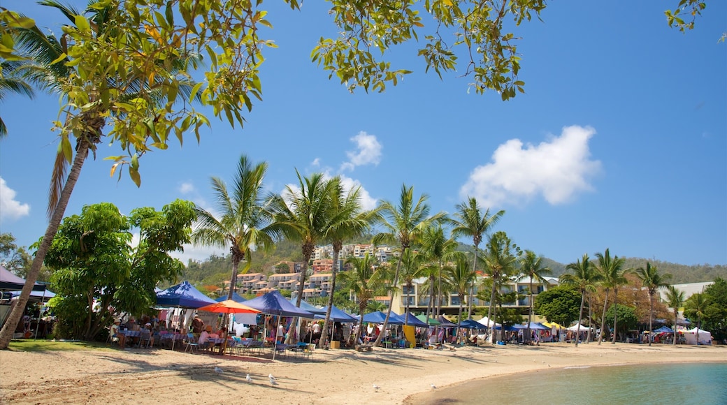 Airlie Beach Market showing a coastal town, a luxury hotel or resort and a beach