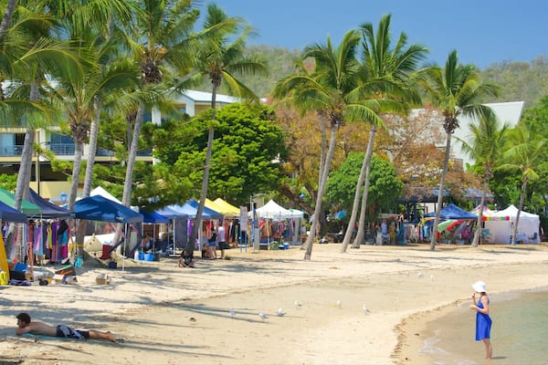 アーリー ビーチ フィーチャー 砂浜 と マーケット