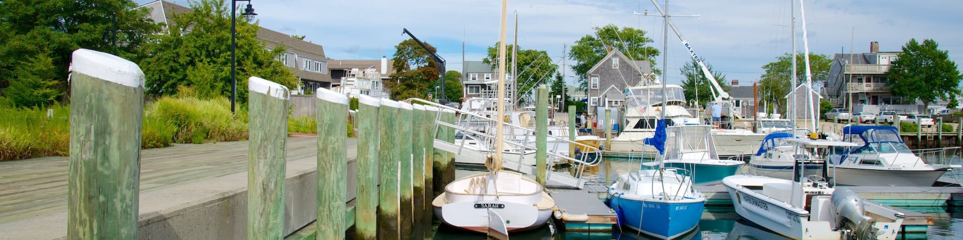 ハイアニス フィーチャー マリーナ と 湾岸あるいはハーバー