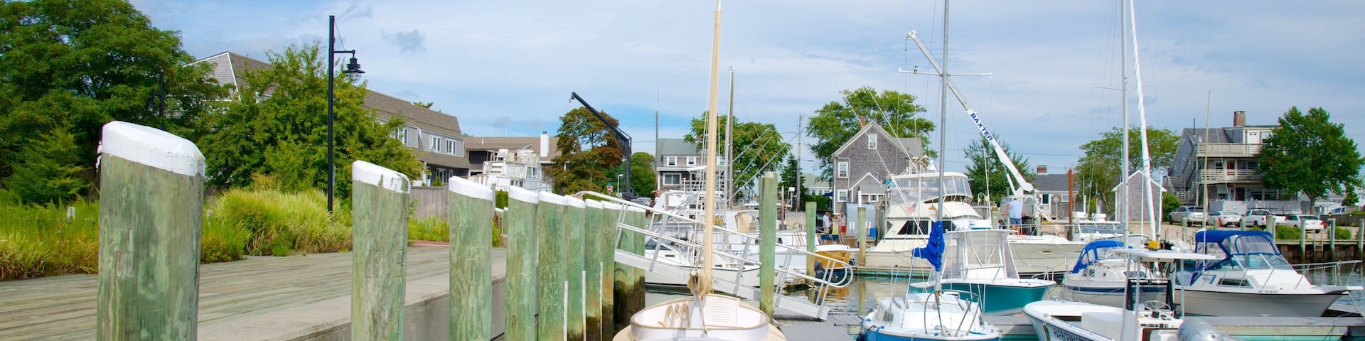 A marina with various boats docked, a wooden pier, and houses in the background.