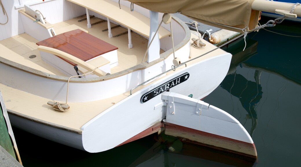 Cape Cod Maritime Museum showing signage and a bay or harbor