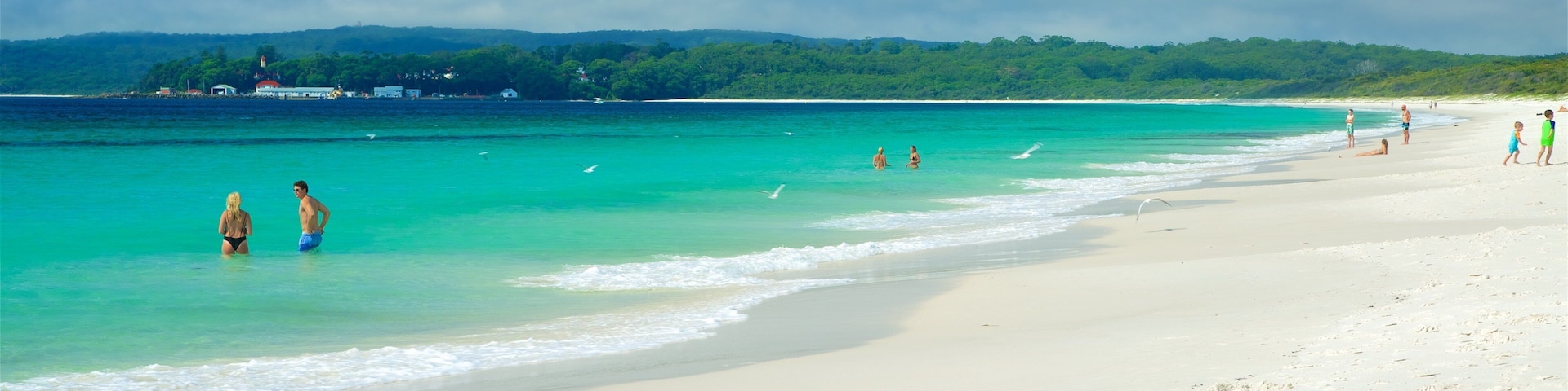 Jervis Bay National Park which includes a beach as well as a small group of people