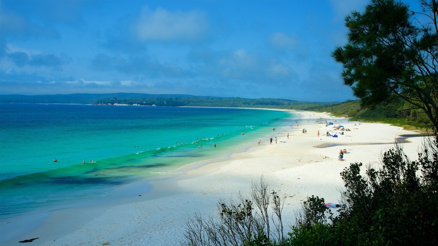 Jervis Bay National Park which includes a beach and general coastal views