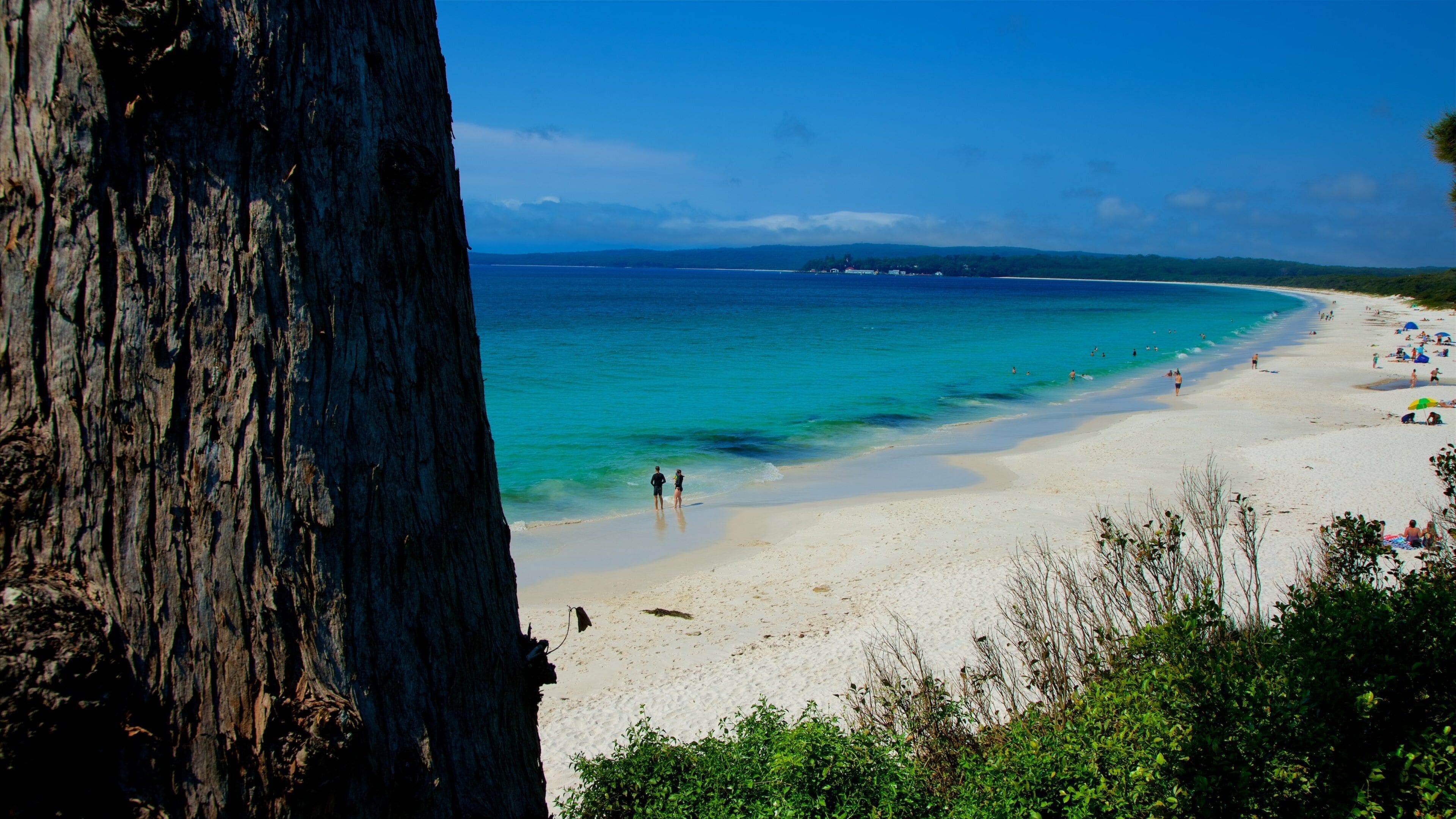 Jervis Bay National Park featuring general coastal views and a beach