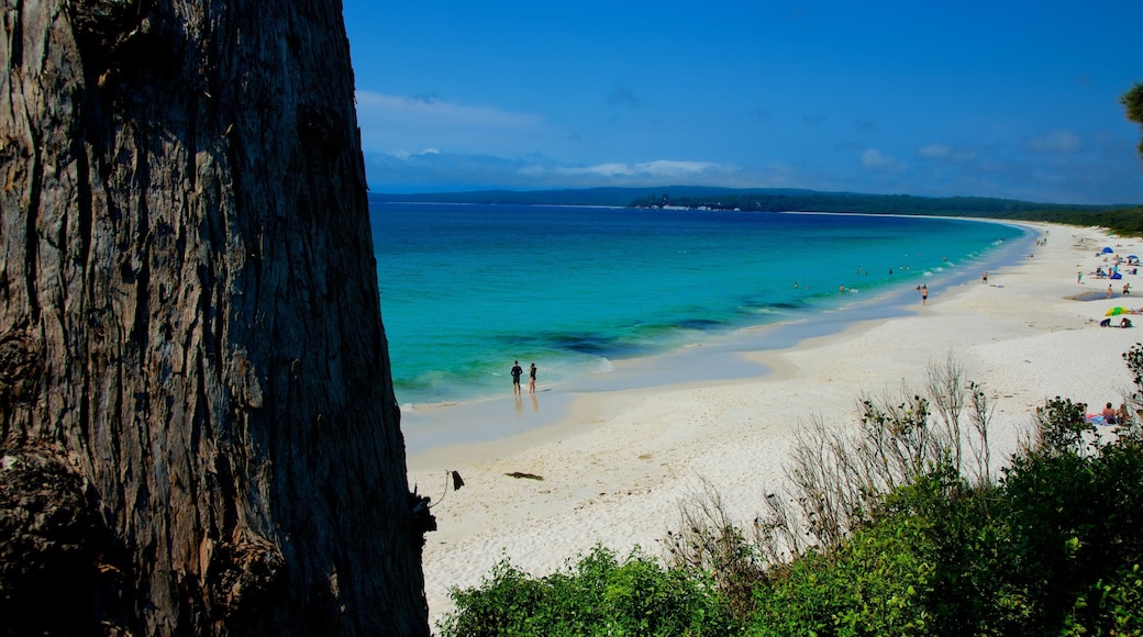 Jervis Bay National Park featuring general coastal views and a beach