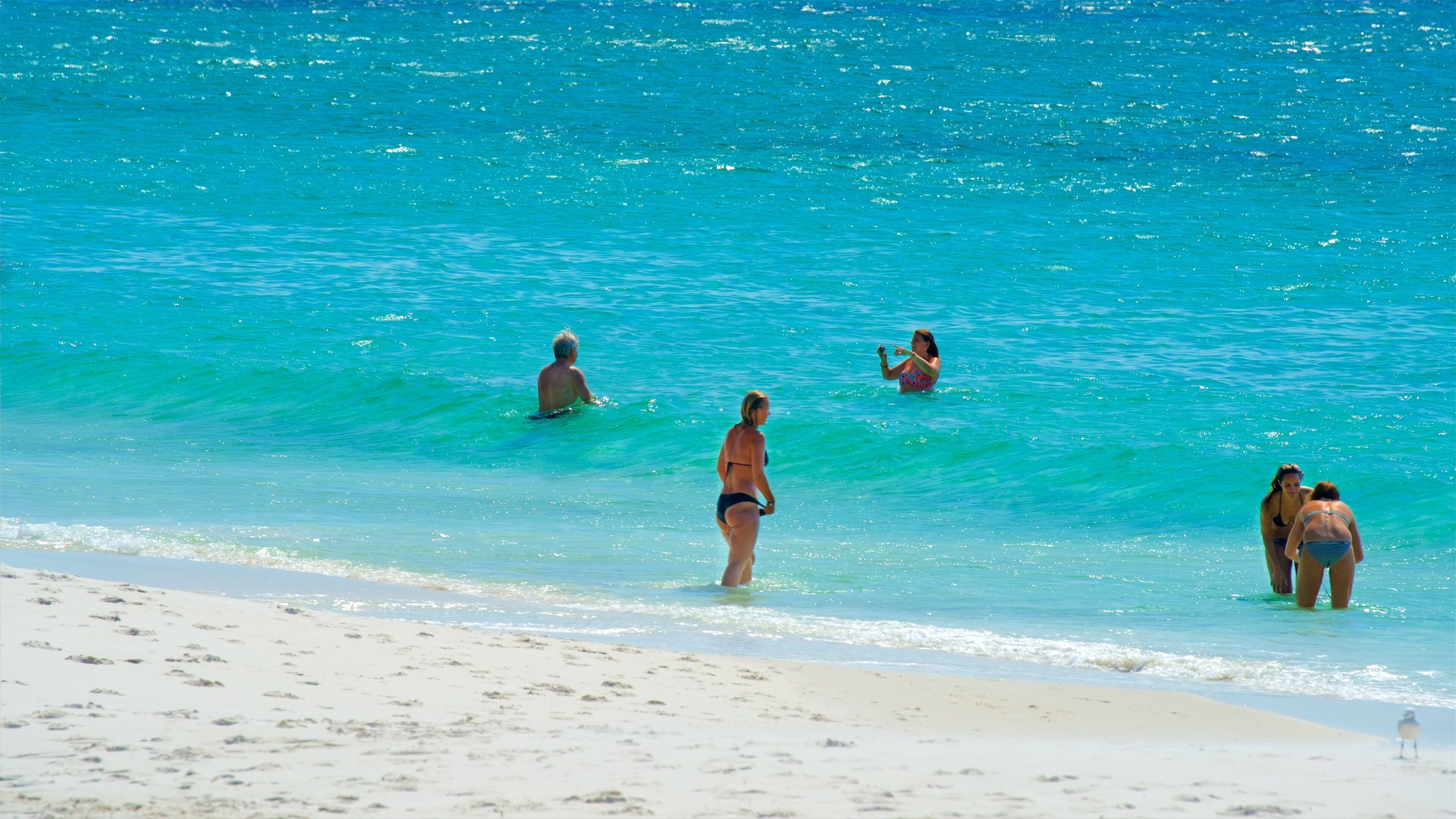 Hyams Beach qui includes baignade, plage et vues littorales