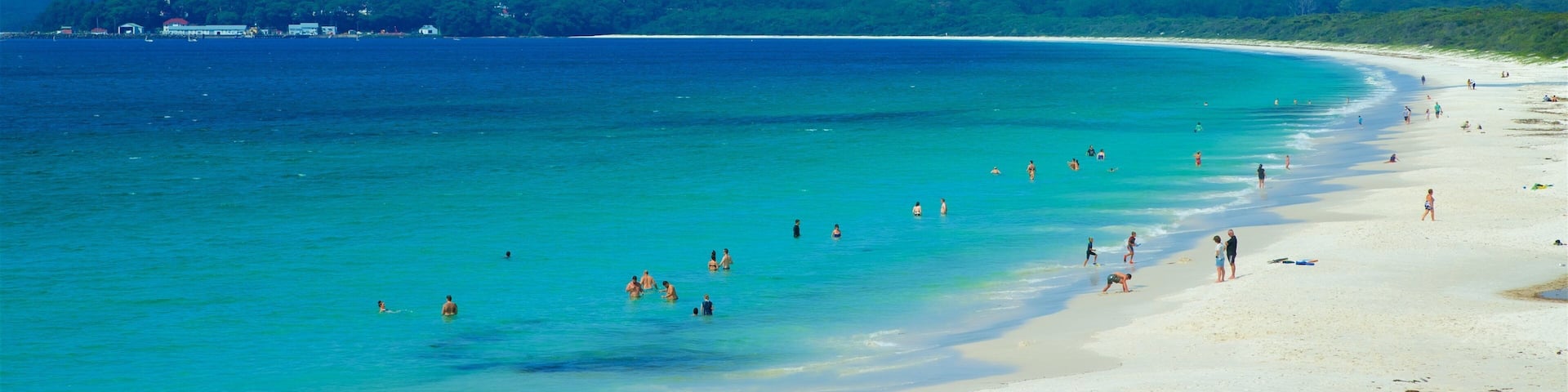 Huskisson showing a sandy beach and general coastal views as well as a large group of people