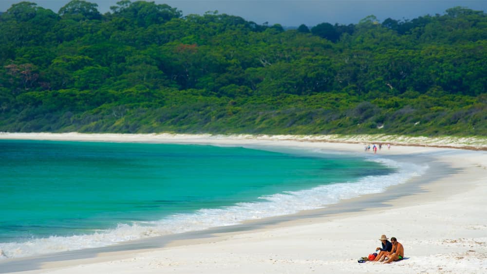 Jervis Bay National Park featuring general coastal views and a beach as well as a couple