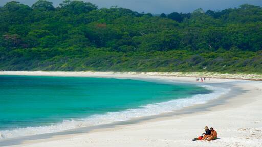 Jervis Bay Nationalpark som viser en strand og udsigt over kystområde såvel som et par