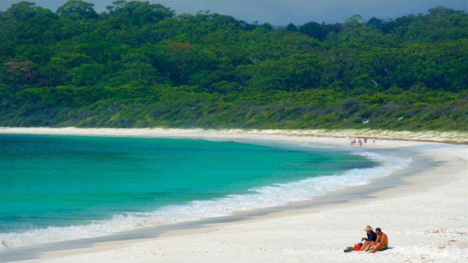 A beach with turquoise water, white sand, and dense green foliage in the background.