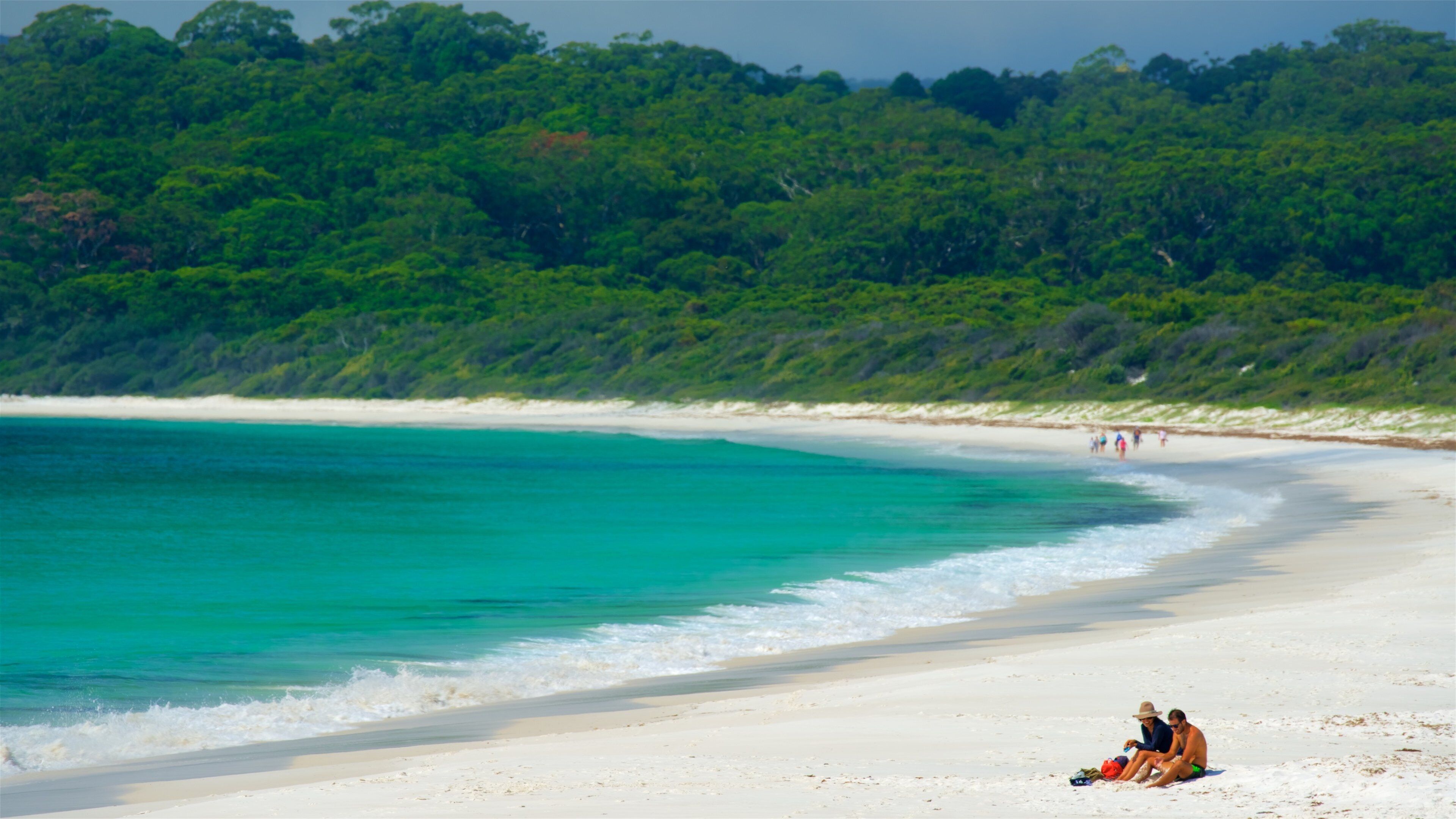 A beach with turquoise water, white sand, and dense green foliage in the background.