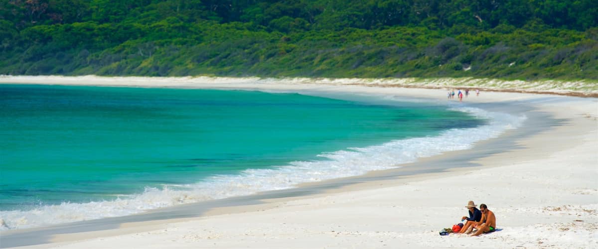 A beach with turquoise water, white sand, and dense green foliage in the background.
