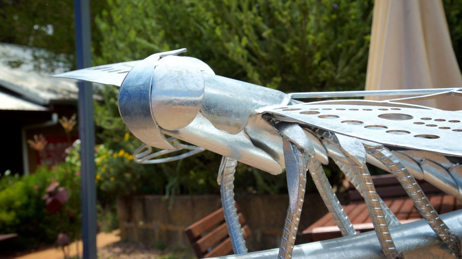 Boranup which includes a statue or sculpture