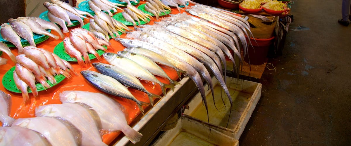 Variedad de pescado fresco exhibido sobre hielo en un puesto de mercado.