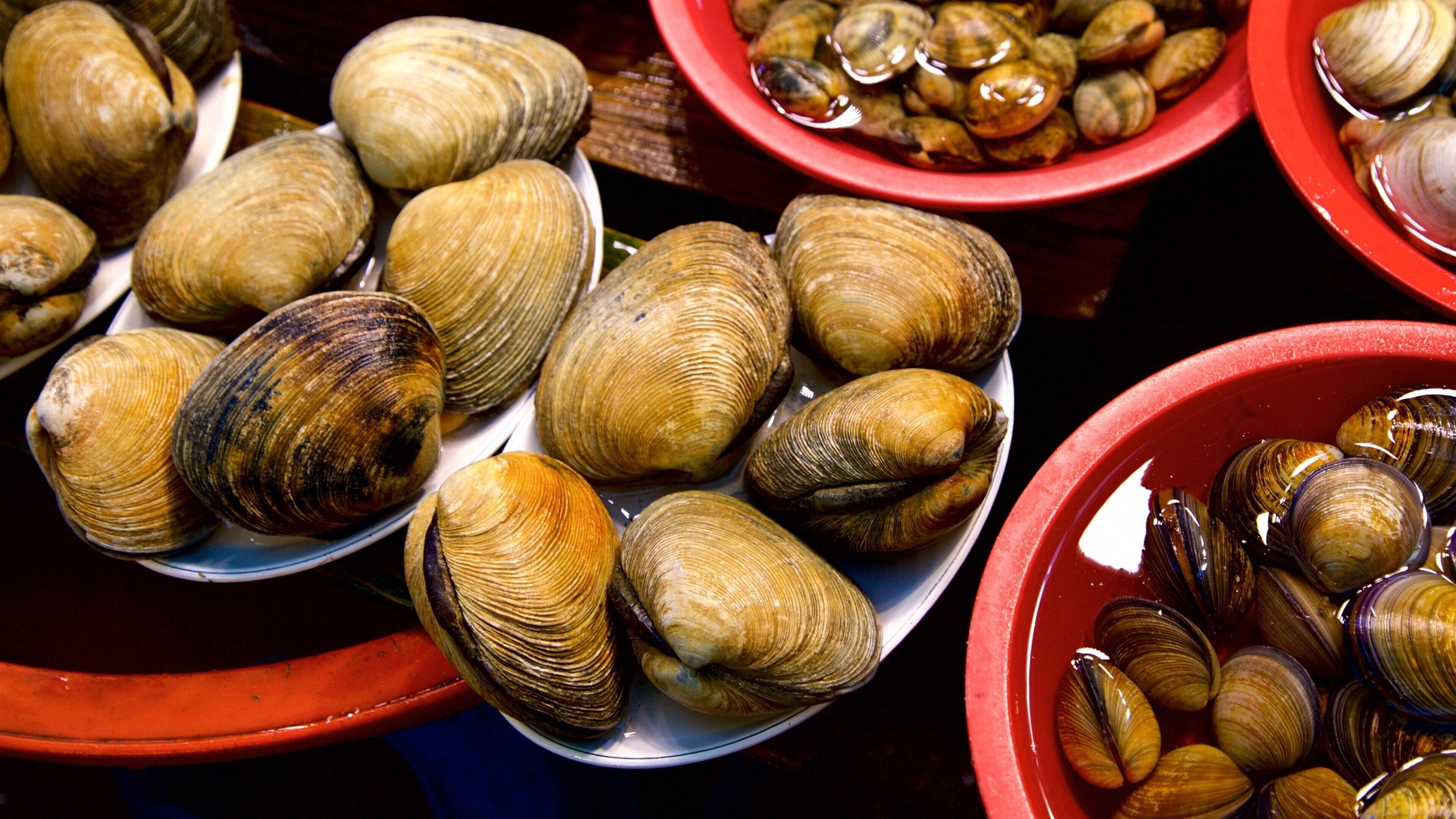 Busan có tính năng thức ăn