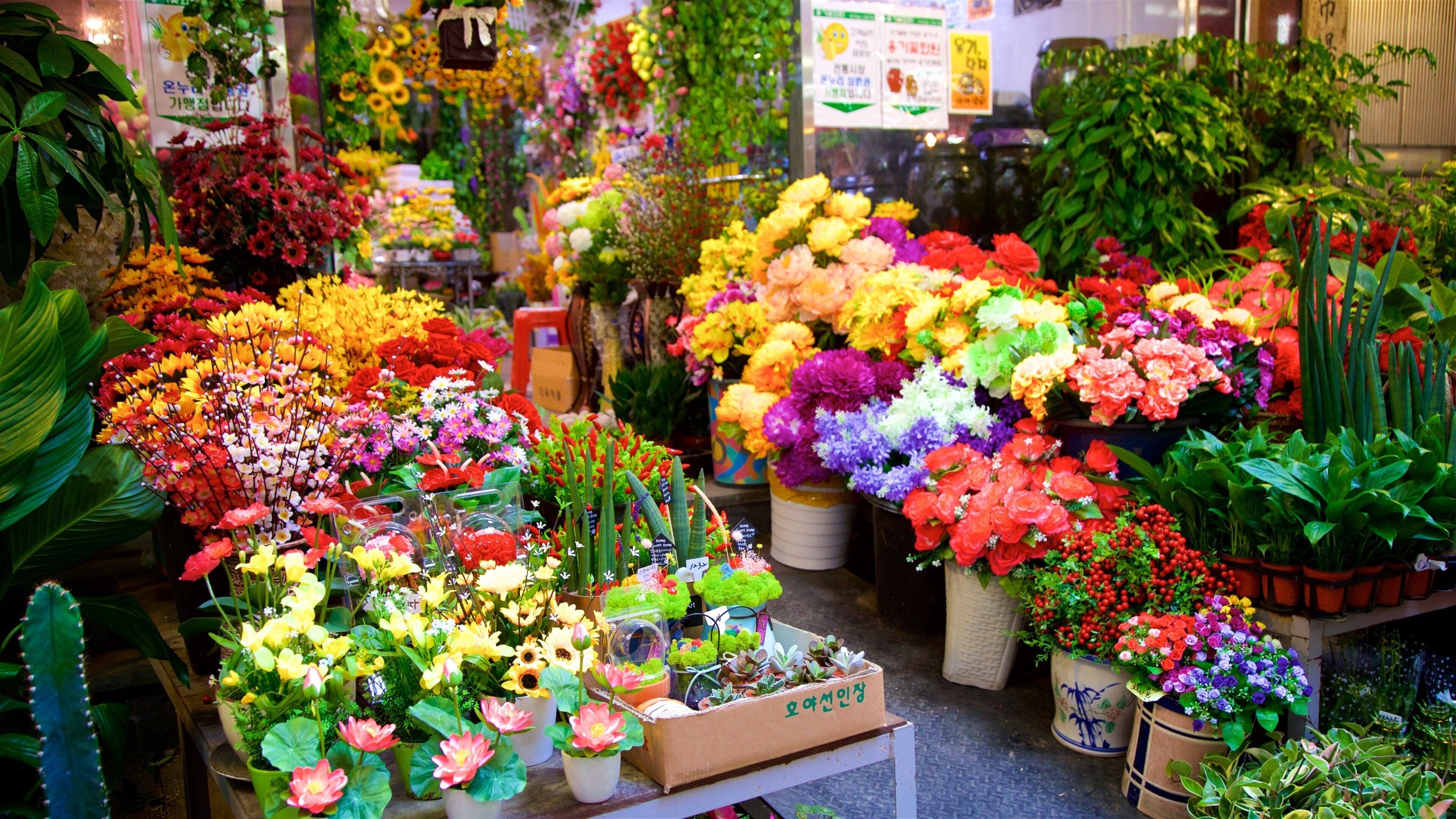 Busan featuring flowers and markets