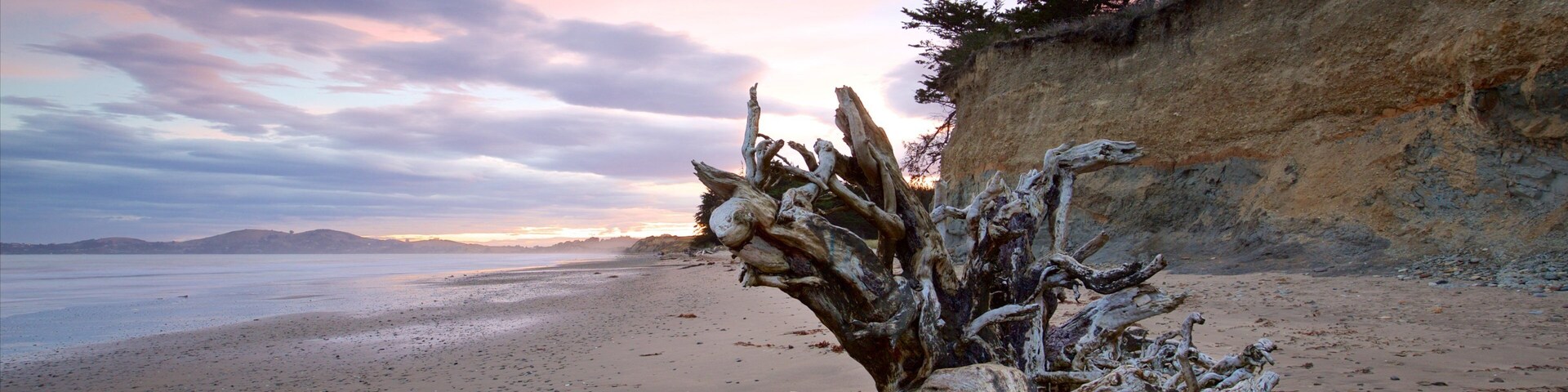 Oamaru mit einem Sonnenuntergang, Sandstrand und Bucht oder Hafen