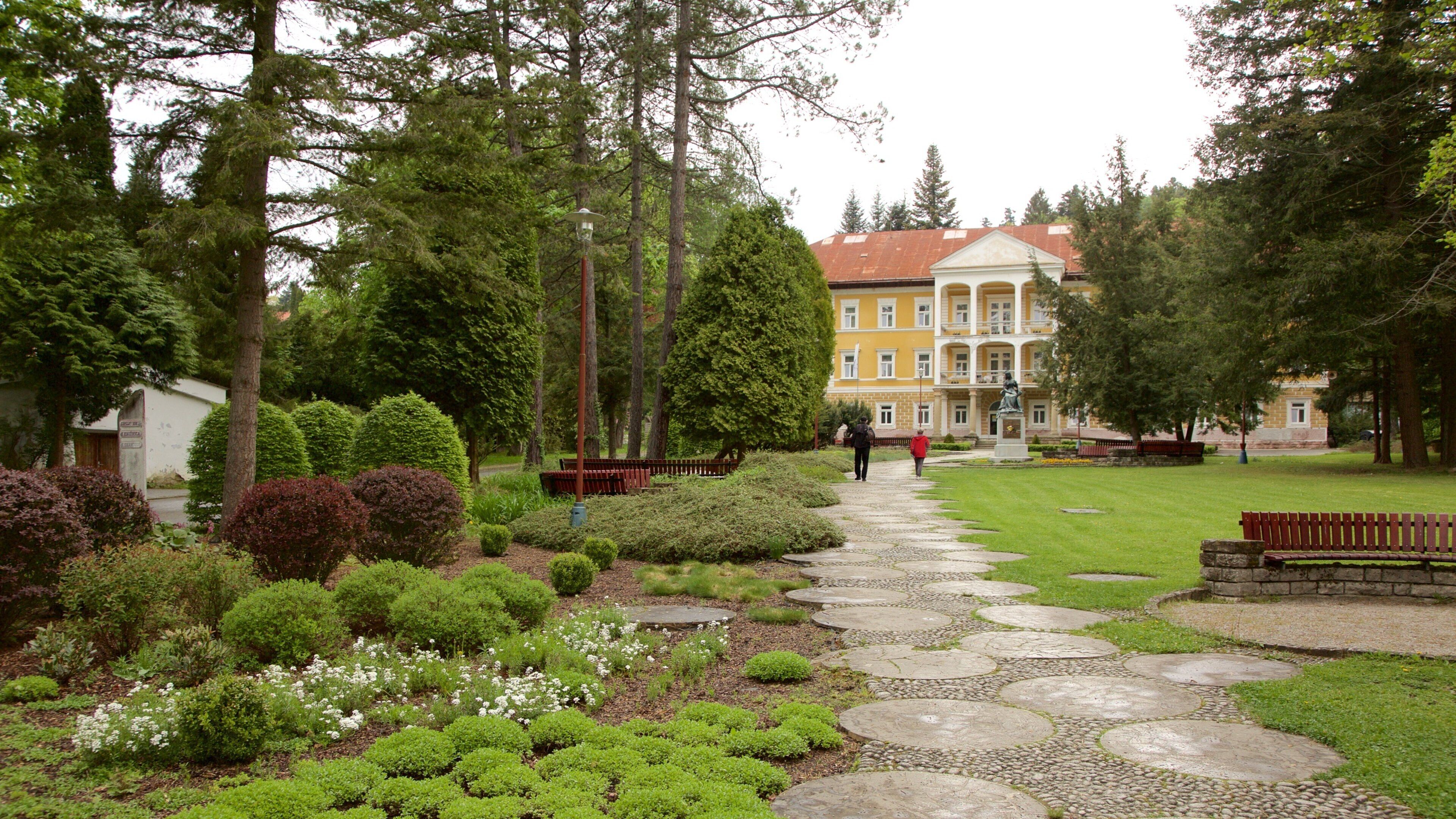Bardejov showing a garden