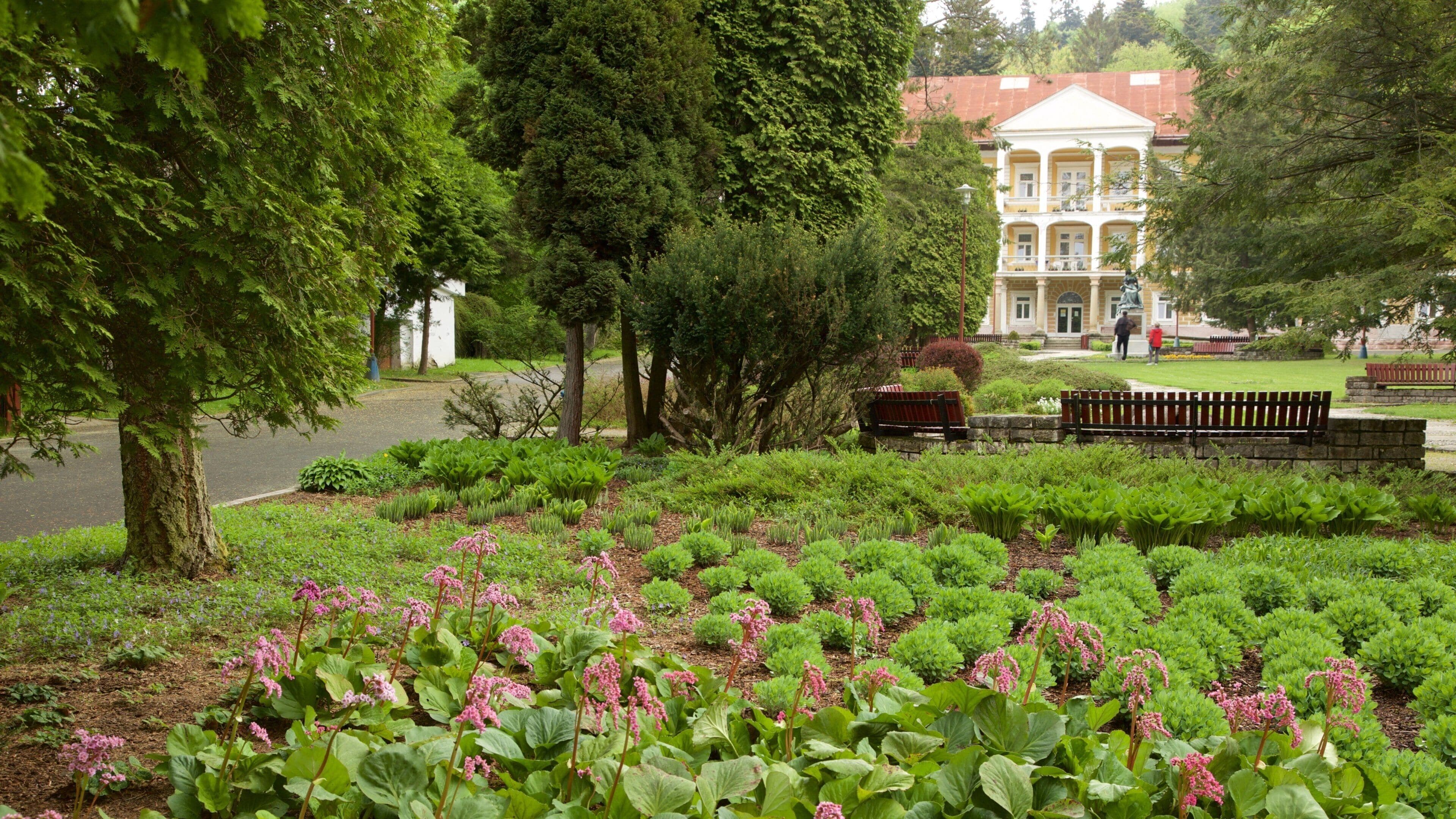 Bardejov which includes a park