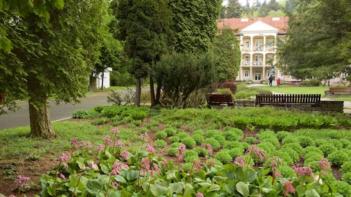 Bardejov mettant en vedette jardin