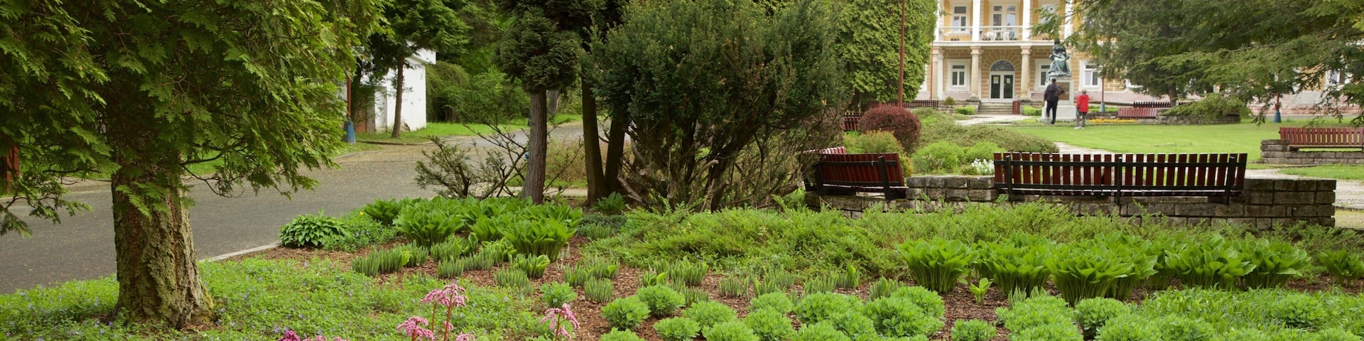 Bardejov which includes a park