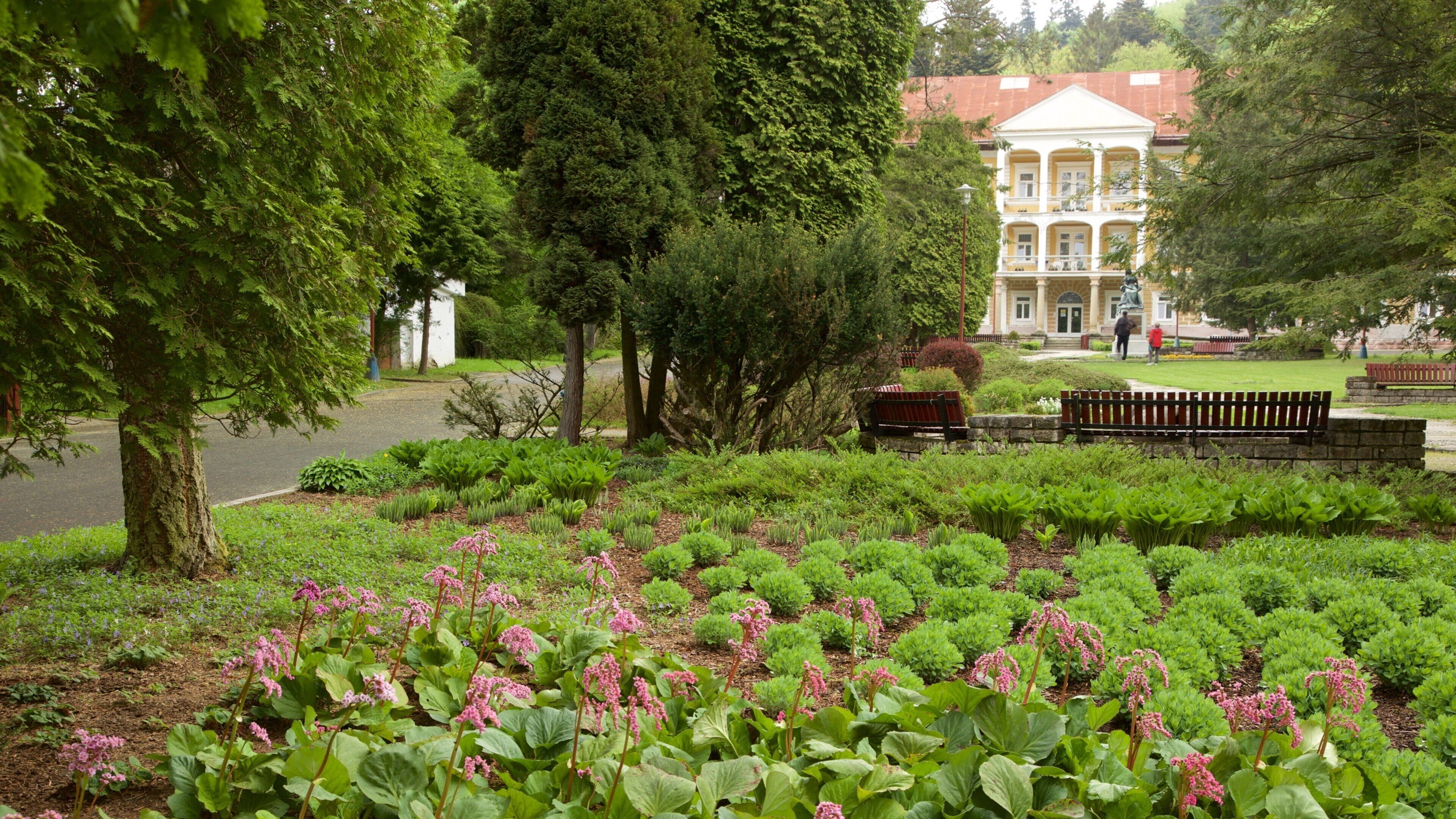 A garden with pink flowers, green shrubs, and a large building in the background.