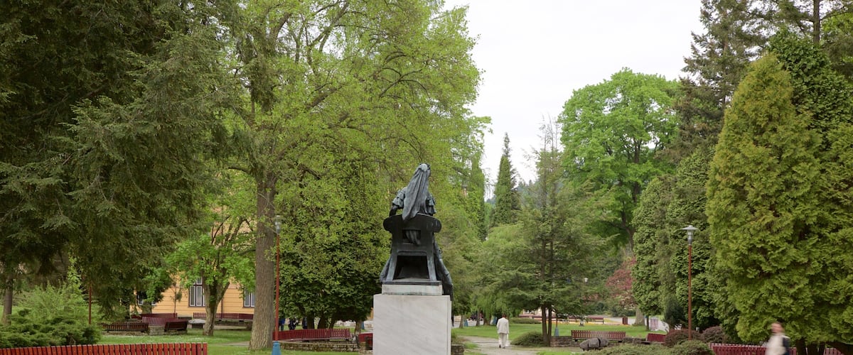 Bardejov which includes a park and a statue or sculpture