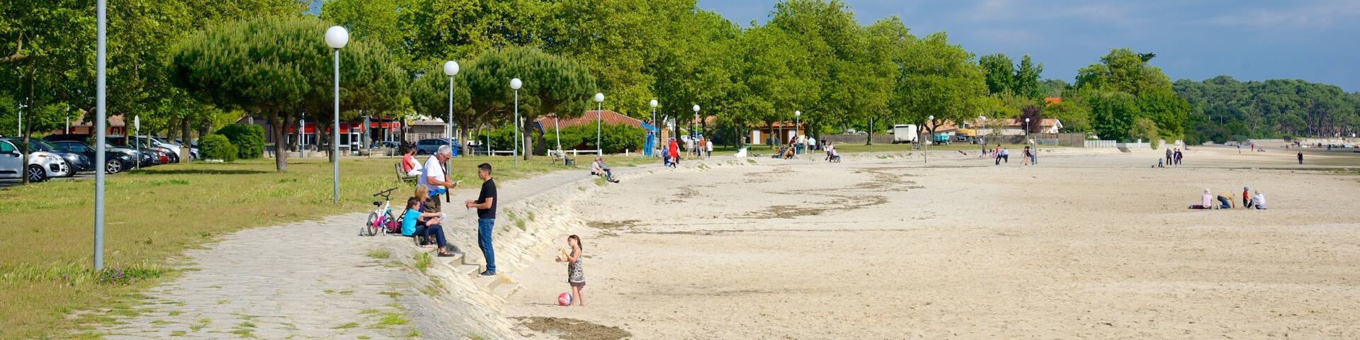 Bordeaux mettant en vedette plage de sable